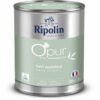 Primer Paint Ripolin