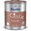 Primer Paint Ripolin