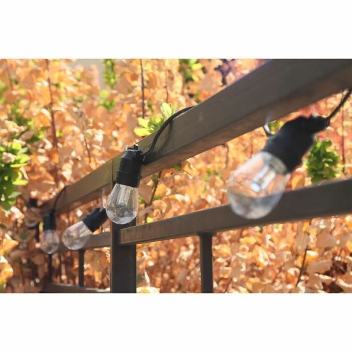 Wreath of LED Lights Rio Black Multicolour 5 m LED RGB 20 - Image 2