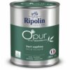 Primer Paint Ripolin 472187 Vert Satin finish 2 L