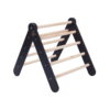 Ladder with a Slide-Climbing Wall - Black