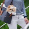 Liiva Dog Carrier & Personal Bag - Grey